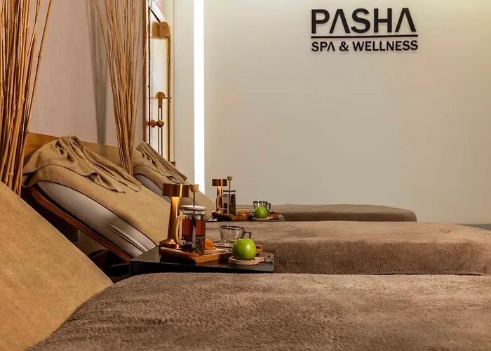 Opera Bosphorus - Preferred And 酒店 伊斯坦布尔